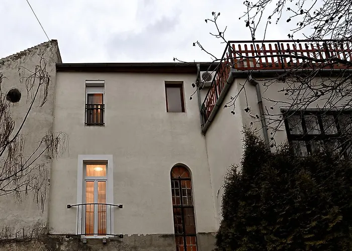 中心公寓酒店 *