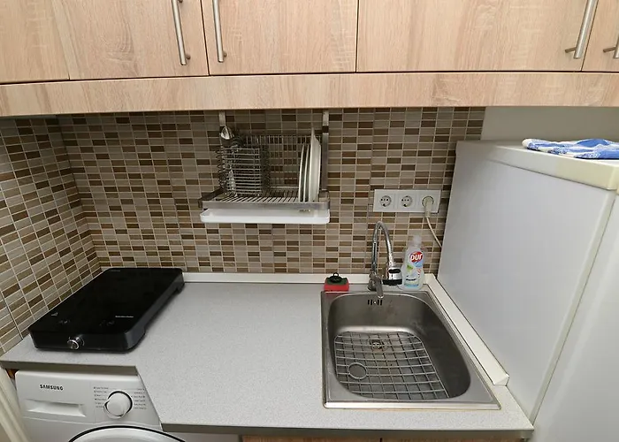 公寓 中心公寓酒店 *