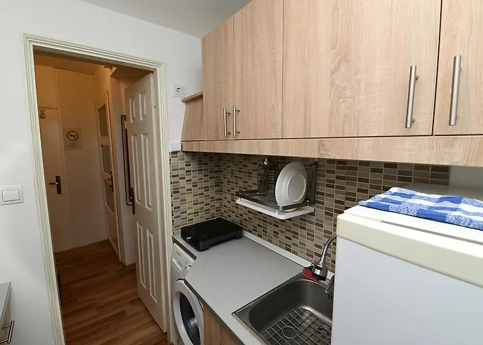 中心公寓酒店 *