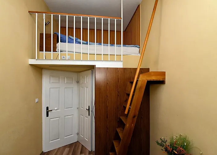 公寓 中心公寓酒店 *