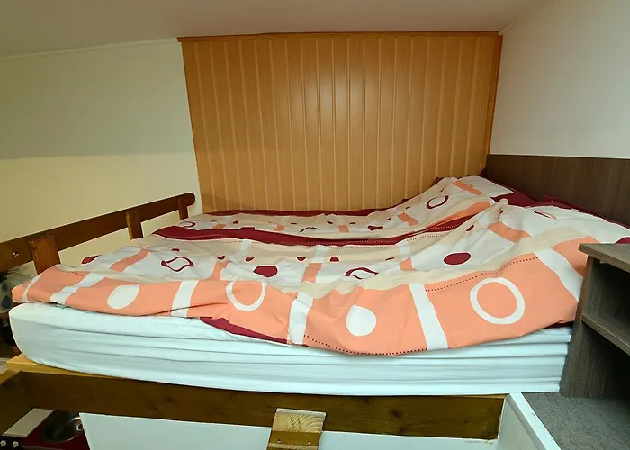 中心公寓酒店 公寓 佩奇